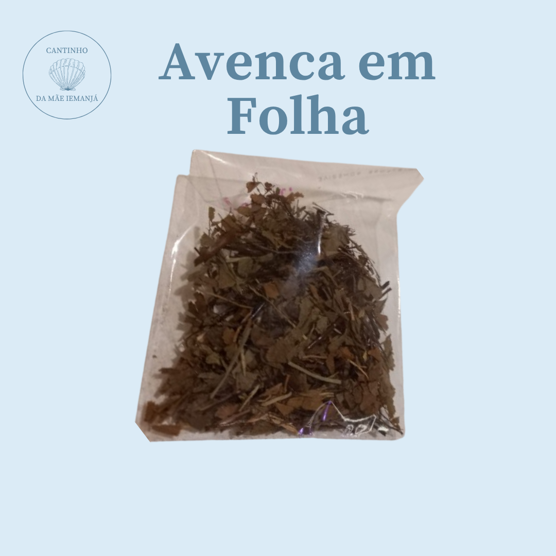 Avenca em Folha